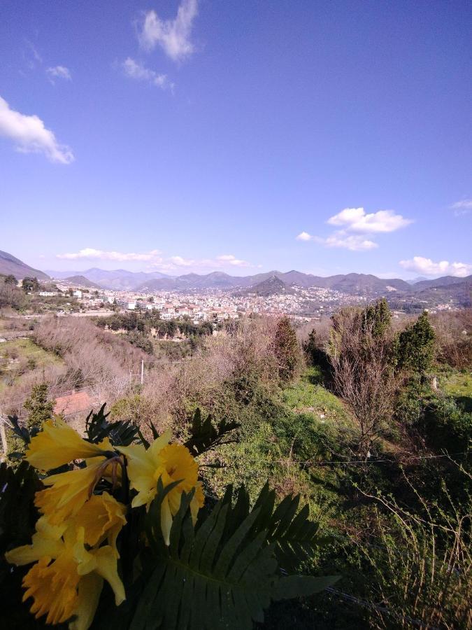Il Casadduoglio 31 Διαμέρισμα Vietri Εξωτερικό φωτογραφία